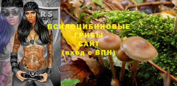 синтетический гашиш Каменногорск