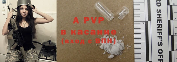 шишки Каменка