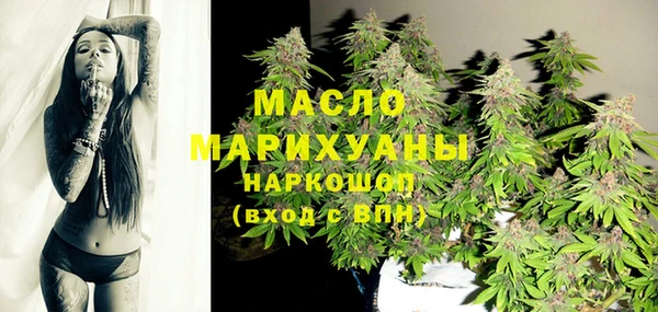 шишки Каменка