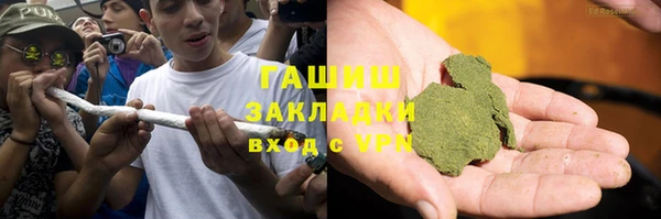 шишки Каменка