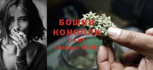 твердый Каменск-Шахтинский