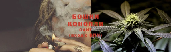 шишки Каменка