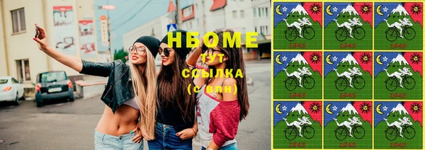шишки Каменка