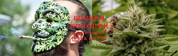 шишки Каменка
