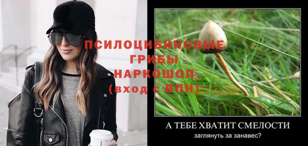 синтетический гашиш Каменногорск