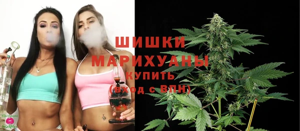 шишки Каменка